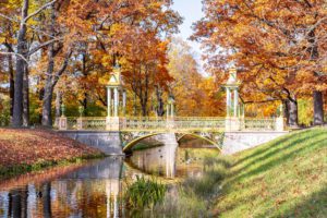 Chinese Bridge In Autumn In Alexander Park, Pushkin (tsarskoe Selo), St. Petersburg, Russia